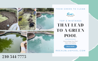 Top 5 Mistakes That Lead to a Green Pool: How to Keep Your Pool Clear and Healthy