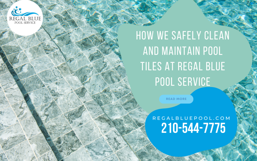 How We Safely Clean and Maintain Pool Tiles at Regal Blue Pool Service