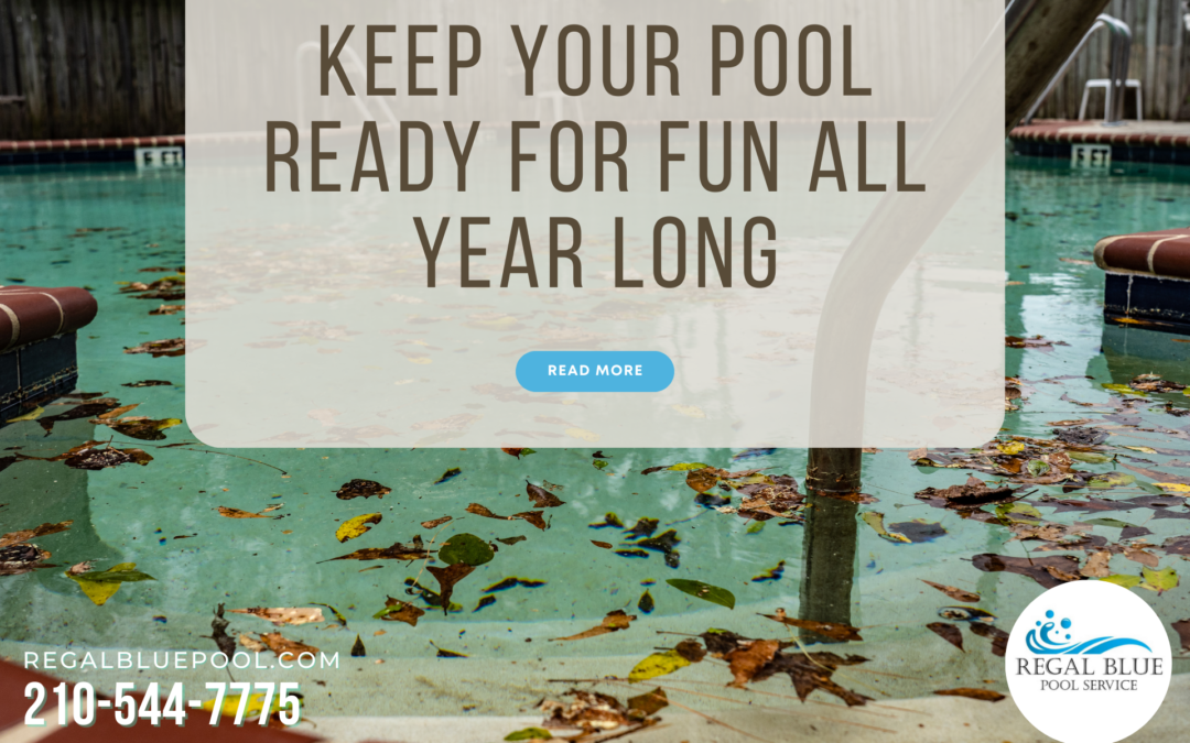 Keep Your Pool Ready for Fun All Year Long