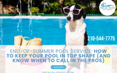 End-of-Summer Pool Service: How to Keep Your Pool in Top Shape (And Know When to Call in the Pros)